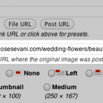 How To Insert Links Inside Of Image Captions