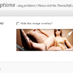 degustothemeoptions1