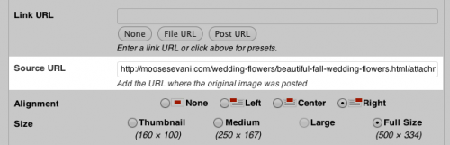 Adding An Image Source URL Field
