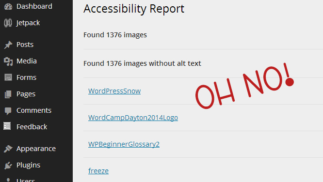 Sample Accessibility Report
